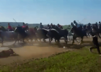 cavalcata_dei_buoi_facebook_video