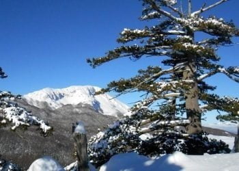 montagna_calabria_pollino_summitpost