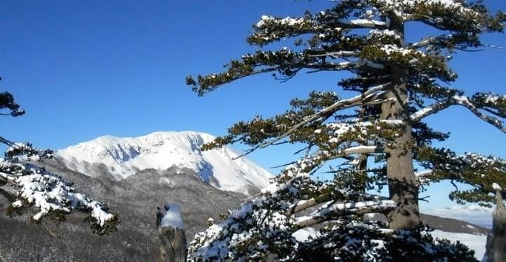 montagna_calabria_pollino_summitpost