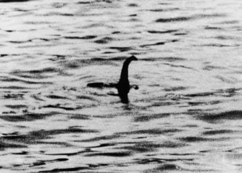nessie-loch-nessie