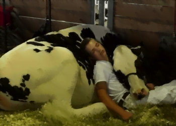 15enne_giovenca_facebook