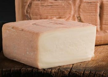 Allarme_Taleggio_Wikipedia