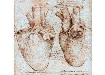 Minoli_64_00_cuore-apertura_720x495_ok