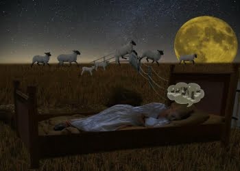 Sonno_insonnia_pixabay_2017