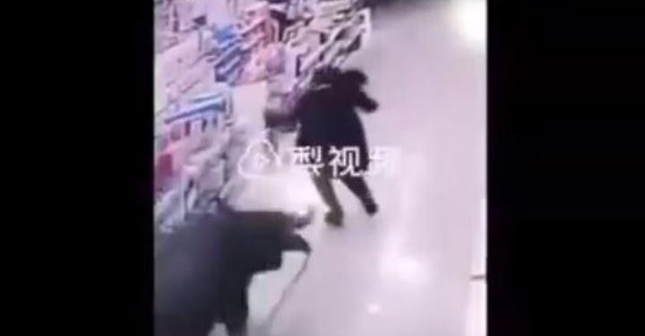 bufalo_aggressione_youtube