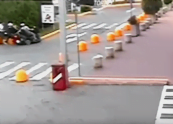 disabile_scippo_torino_youtube