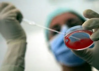 libertà riproduttiva donne single