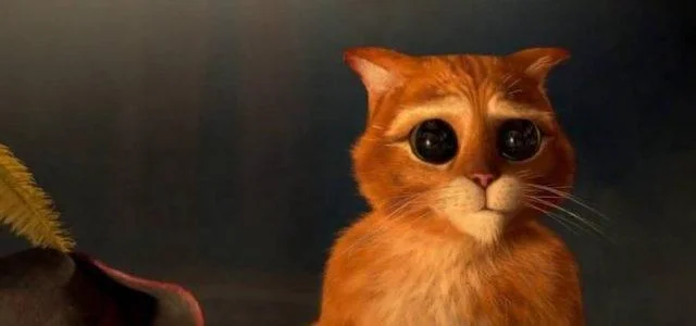 Occhi di gatto: storia e curiosità sul famoso cartone animato