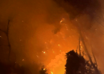 incendio_pineta_dannunziana_facebook