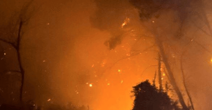 incendio_pineta_dannunziana_facebook