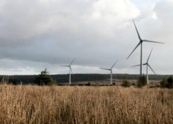parco-eoliico_pixabay