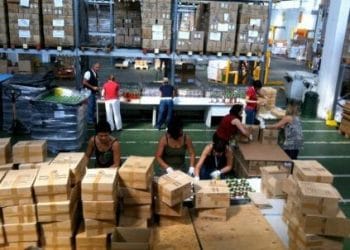 Bancoalimentare_magazzino439