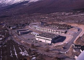 Bellini_lngs_439x302_ok