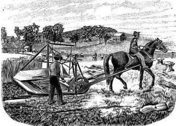 Lapini_00_mietitrice1831_439x302_ok