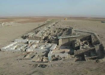 Musso_52_apertura_439x302_ok