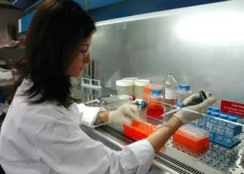 infophoto_ricerca_staminali_laboratorio_R439