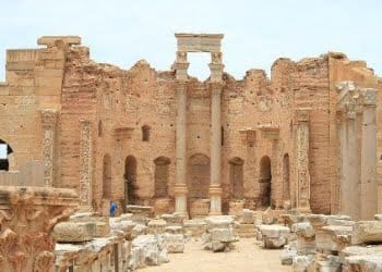 leptismagna1R439