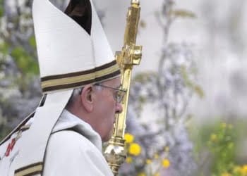 papafrancesco_profilo_verdeR439