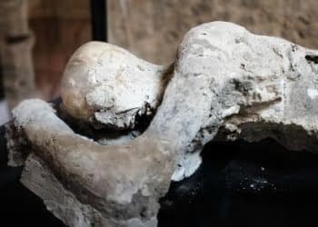 pompei_calco_uomoR439