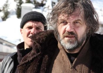 Foresta_GhiaccioR439