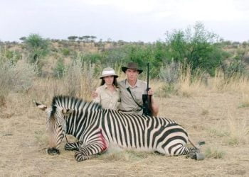 Safari_Film_Seigl_Web