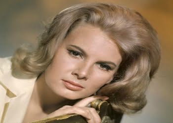 molly_peters_twitter