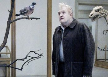 un-piccione-seduto-rifletteR439