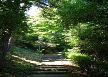 42_SSc_agostini_parco_Rocca_malatestiana_439x302_ok