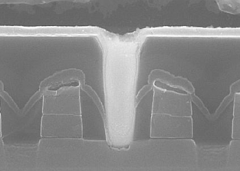 Cappelletti_14_00_439x302_ok