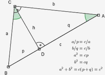 Davoli_05_presentazione_439x302_ok