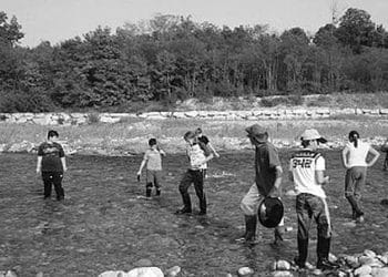 Finzi_40_00_439x302_ok