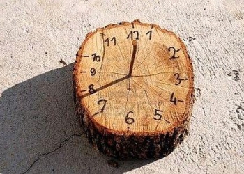 Longo_15_00_apertura_439x312_ok