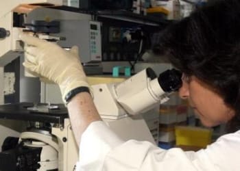 Microscopio_RicercR400