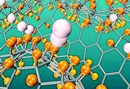 Musso_00_apertura_439x302_ok