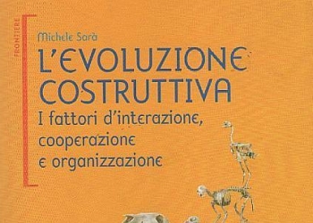 Sara_Evoluzione-costruttiva_439x302_ok