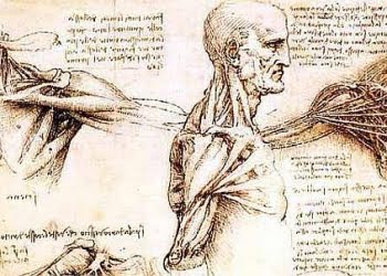 Speciani_00_corpo-umano_439x302_ok