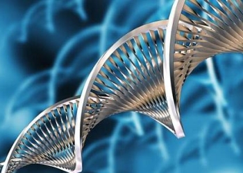 Speciani_04_apertura_439x302_ok