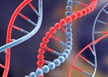 Speciani_05_00_apertura_439x302_ok