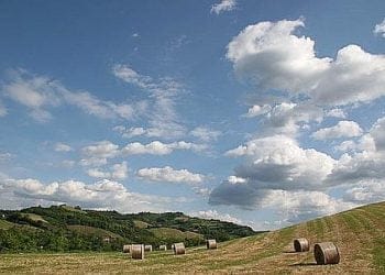 Speciani_39_00_identificare_439x302_ok