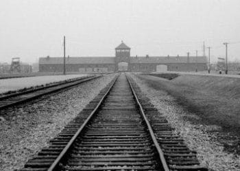 auschwitzR375_19apr09