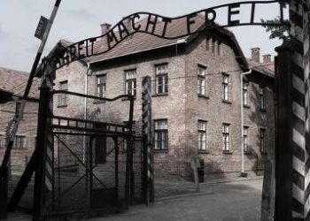 auschwitz_ingressoR375