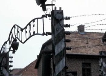 auschwitz_ingressoR400