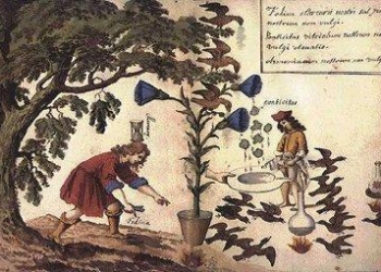 cabalaalchimiaR375_17feb09