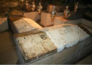 cipro_sanlazzaroR375_07set08