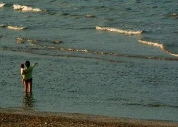 educazioneR375_31ott08