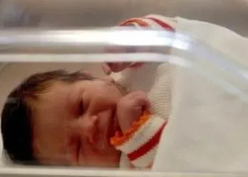 embrioni-congelati-r400