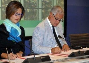 formigelminiR375_17nov09