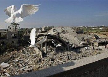 gazapaceR375_22gen09