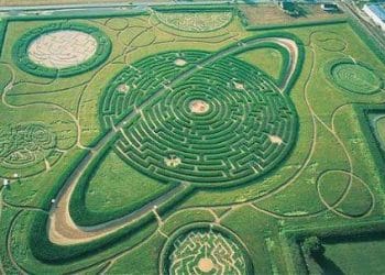 il-labirinto-planetario439