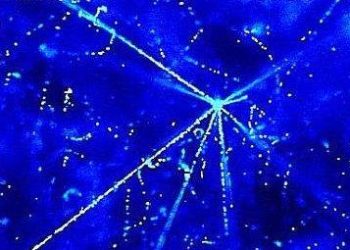 neutriniR375_22feb10